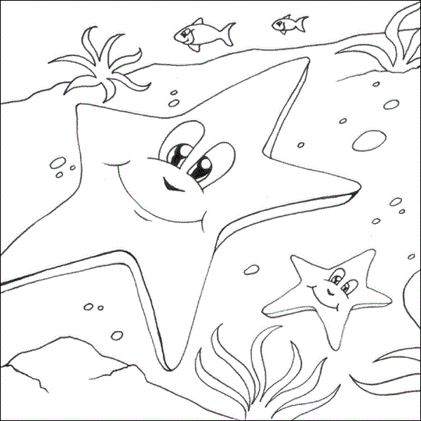 starfish (Kopyala)