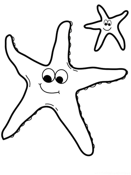 starfish_cl_15 (Kopyala)