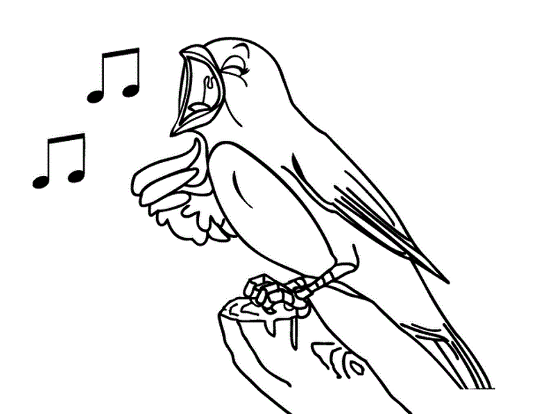 2 a bird can sing