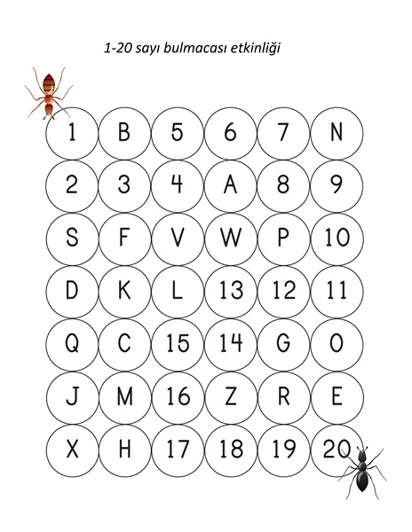 Bocekler Calisma Sayfalari Evimin Altin Topu