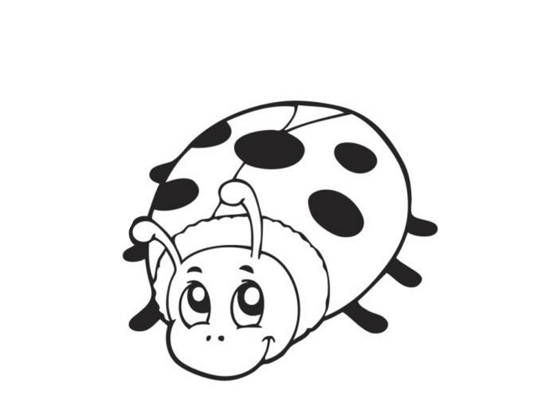 Ugurbocegi Boyama Sayfalari Harika Ugurbocegi Boyamalari