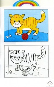 kedi boyama çalışması
