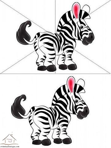 zebra puzzle