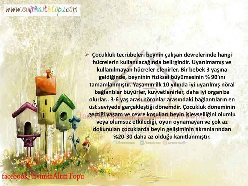 bebeklerde beyin gelişimi için etkinlikler