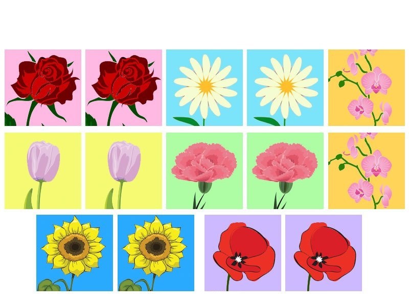 çiçekler hafıza kartları