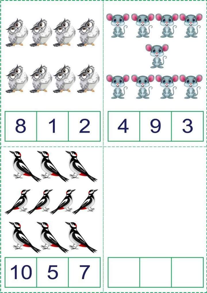 Matematik Etkinlik Sayfalari Evimin Altin Topu