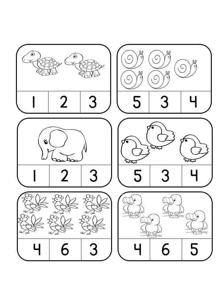 Sayi Resim Eslestirme Calismalari Okul Oncesi Sayi Etkinlikleri